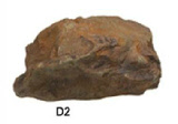 fake rock D2