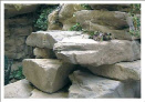 Yorkstone garden