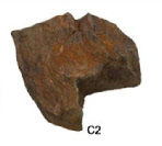 fake rock C2