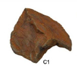 fake rock C1
